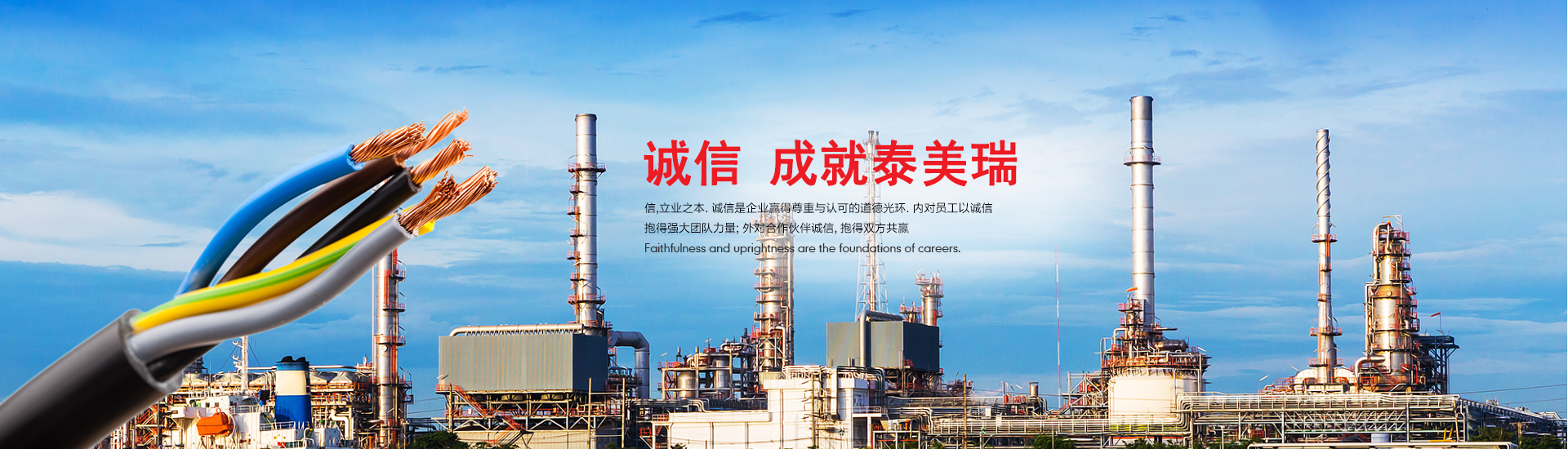 泰美瑞測(cè)控
